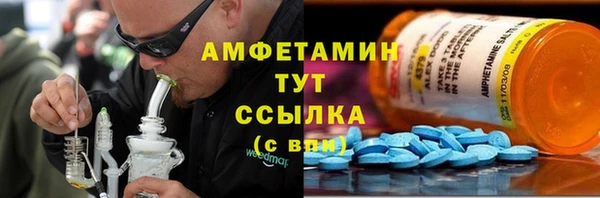 индика Нея