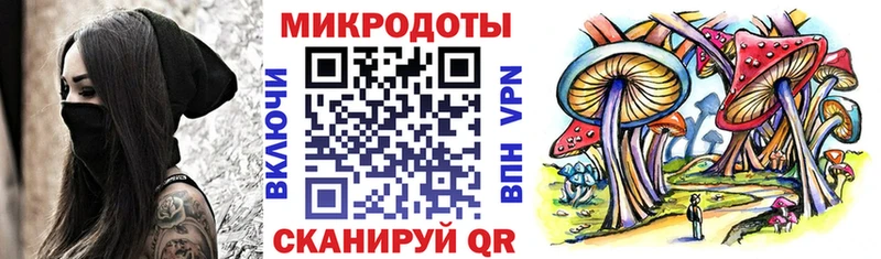 что такое наркотик Куровское кракен ССЫЛКА Псилоцибиновые грибы Psilocybine cubensis